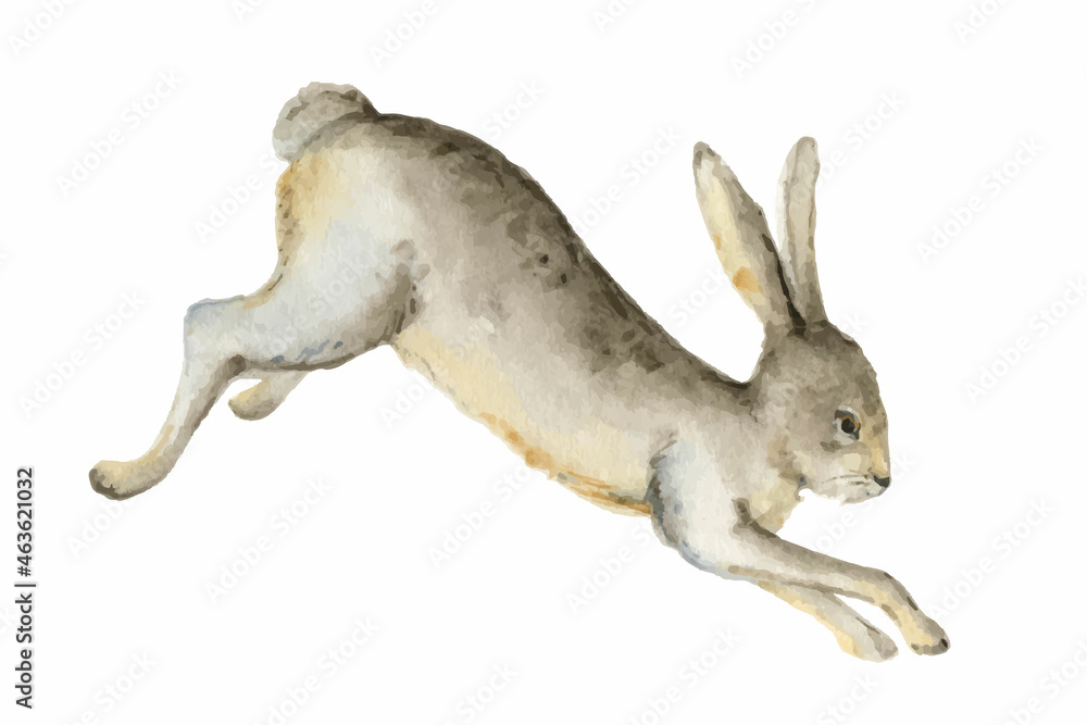 Watercolor vector card with a hare isolated on a white background.