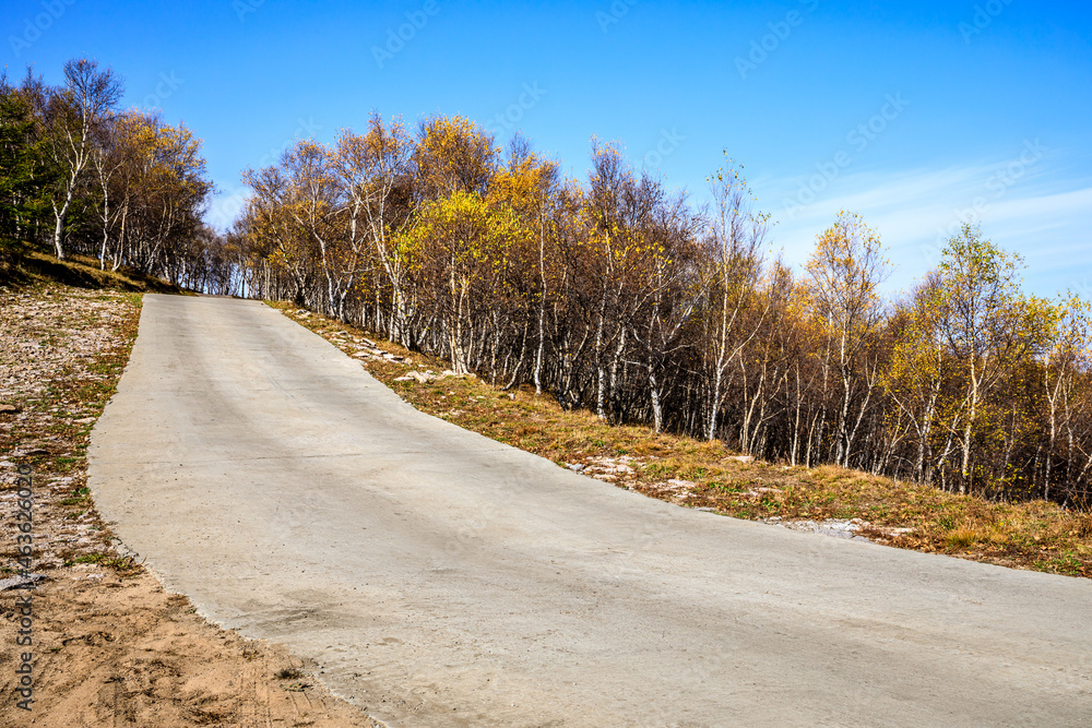 秋天空旷的道路和五彩缤纷的森林风光。