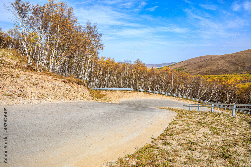 空旷的道路和色彩缤纷的森林，秋天有山景。