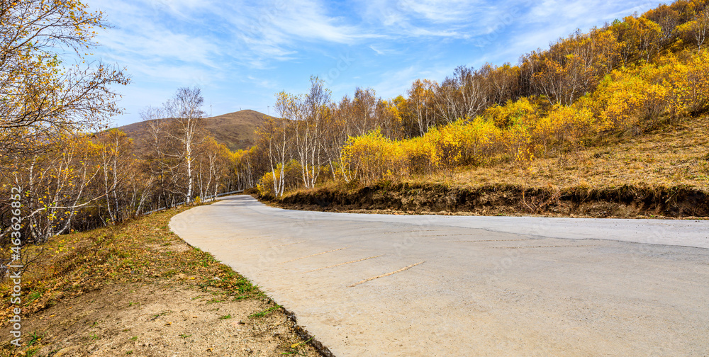 空旷的道路和色彩斑斓的森林，秋天的山景。