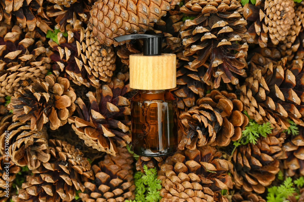 Dark cosmetic bottle with essential oil on pine cones background