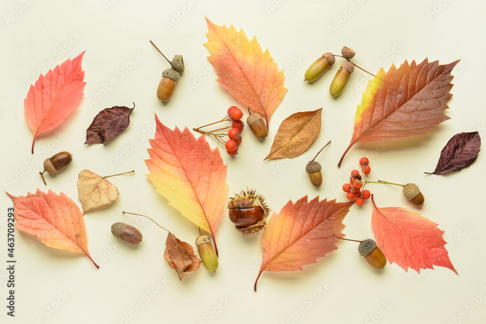 Beautiful autumn composition with acorns and leaves on white background, closeup