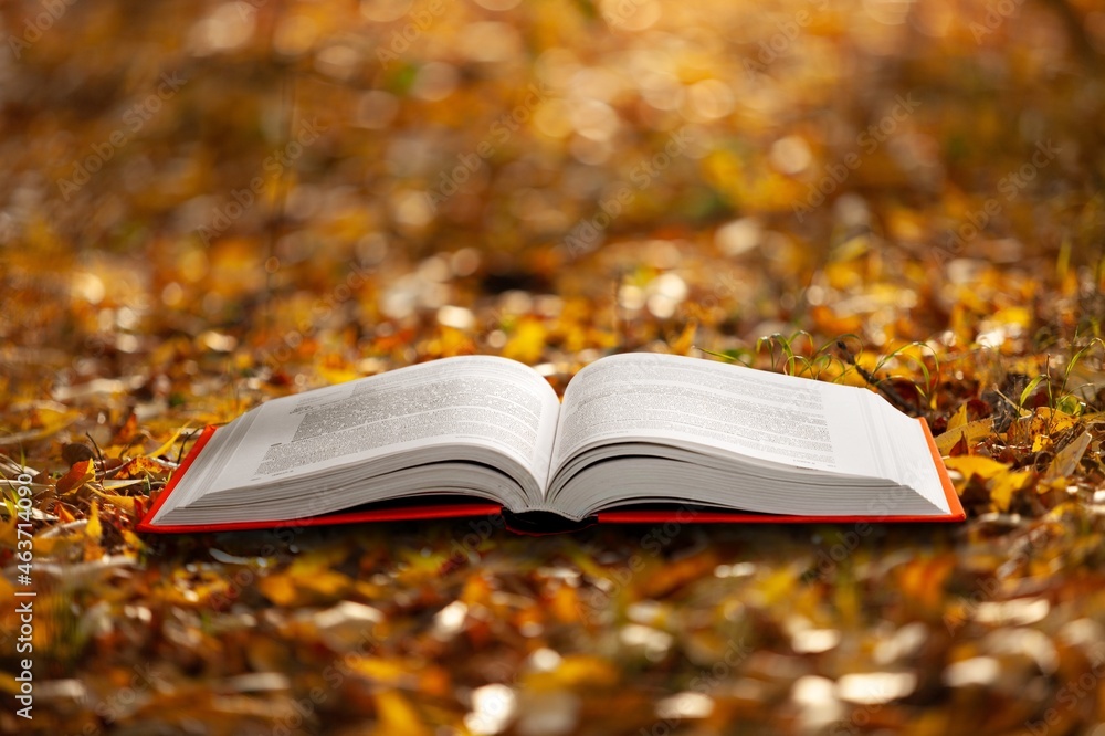 Open book on autumn park background with autumn fallen leaves on it.