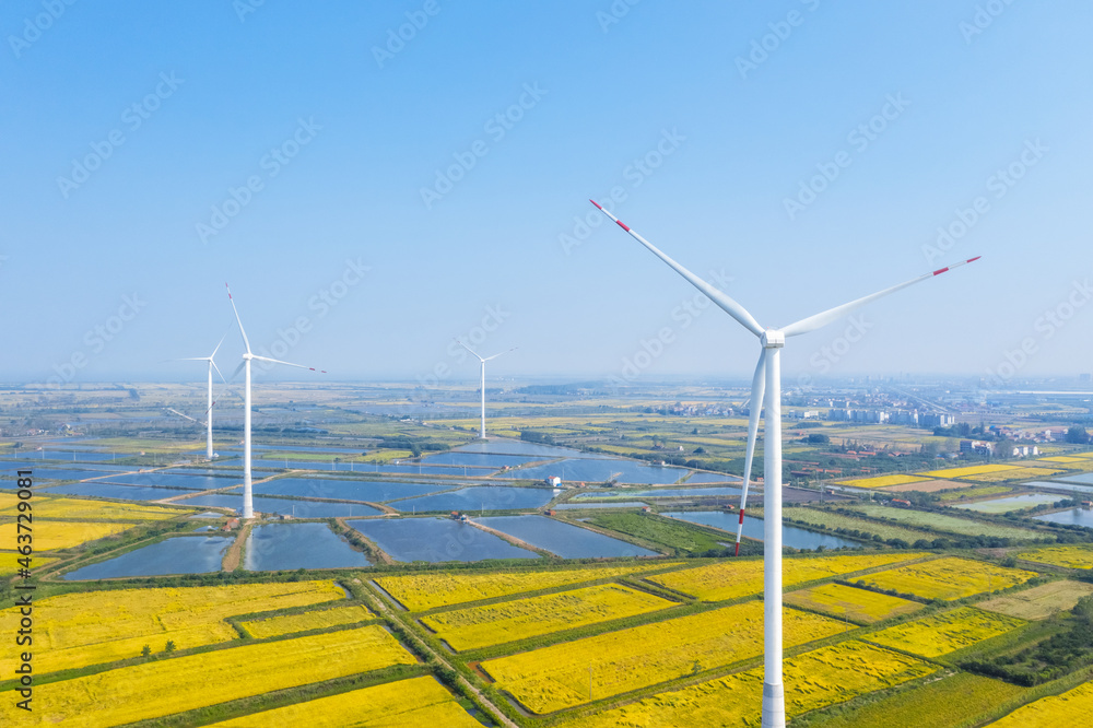 wind farm in autumn fields