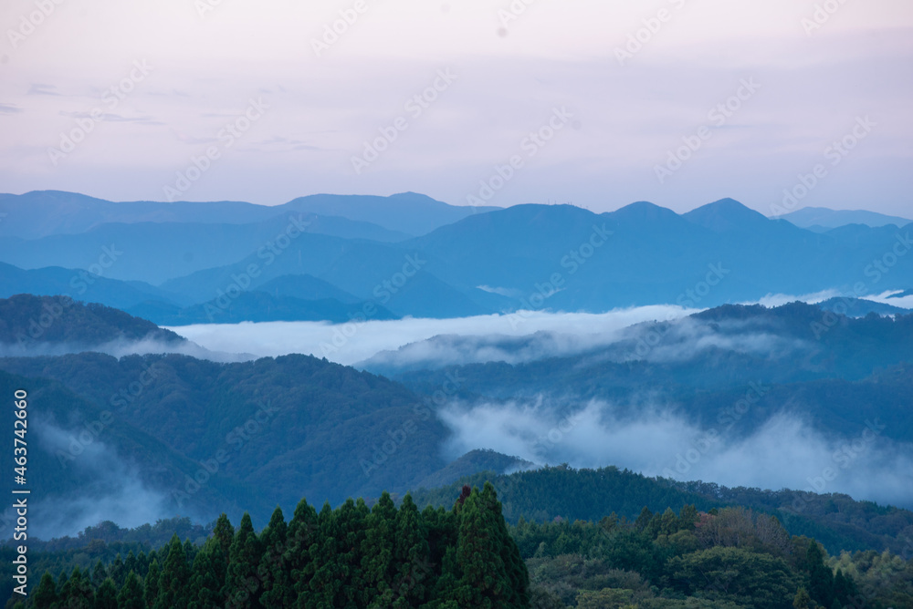 雲海