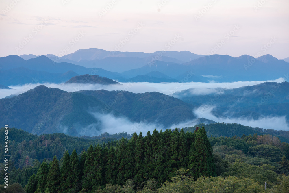 雲海