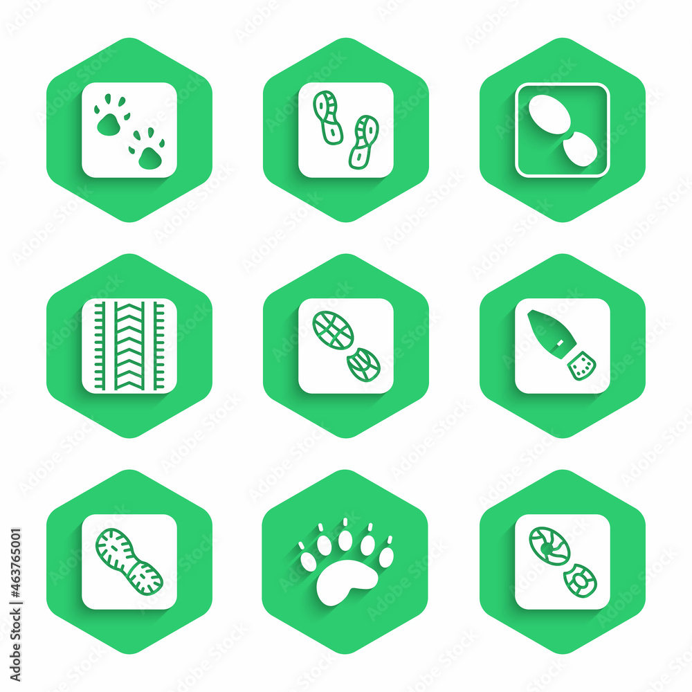 Set Human footprints shoes, Bear paw, Tire track, and Paw icon. Vector