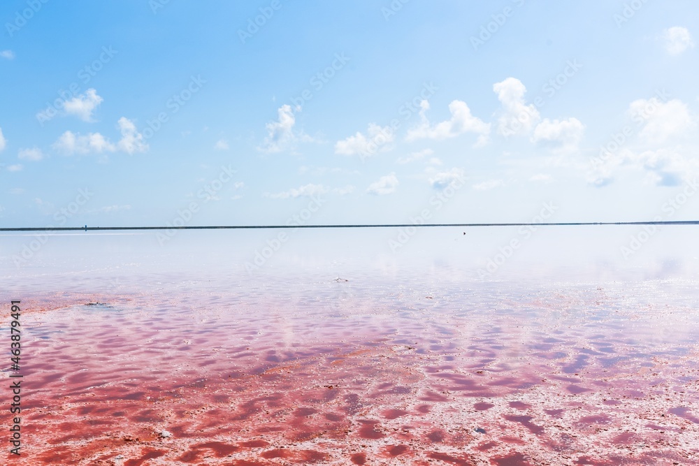 美丽的红色泻湖或盐湖，粉红色的海水富含矿物质