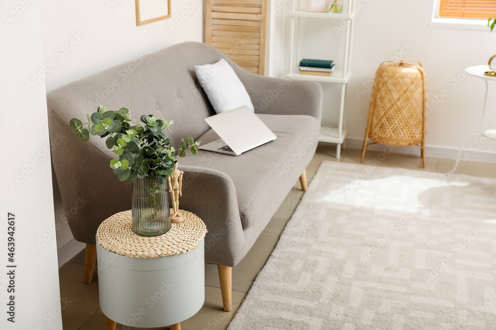 Glass vase with eucalyptus plant on table near comfy sofa in stylish living room