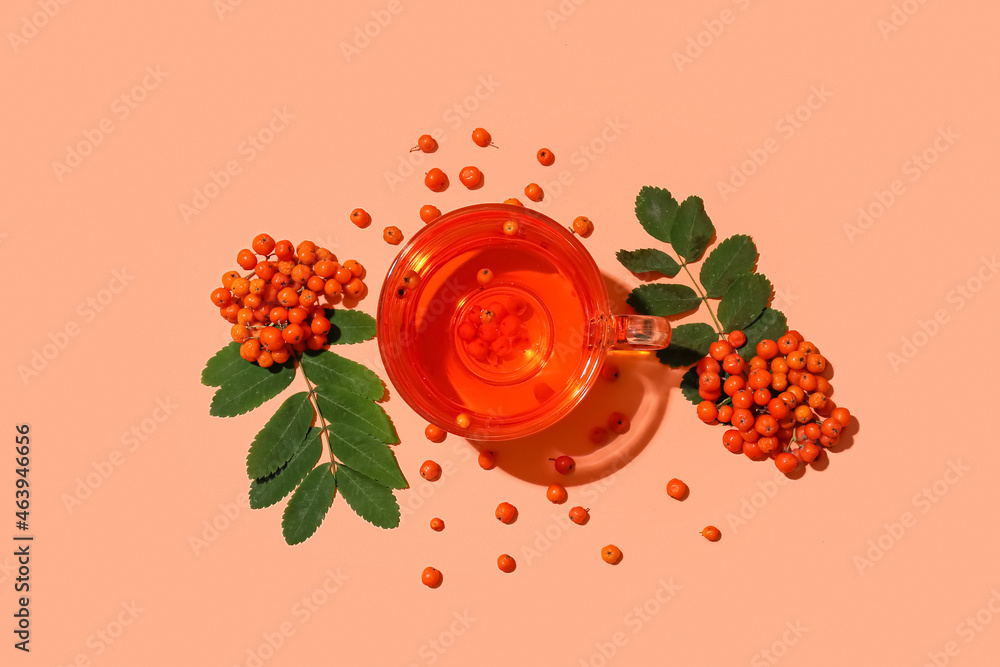 Glass cup of hot rowan tea on color background