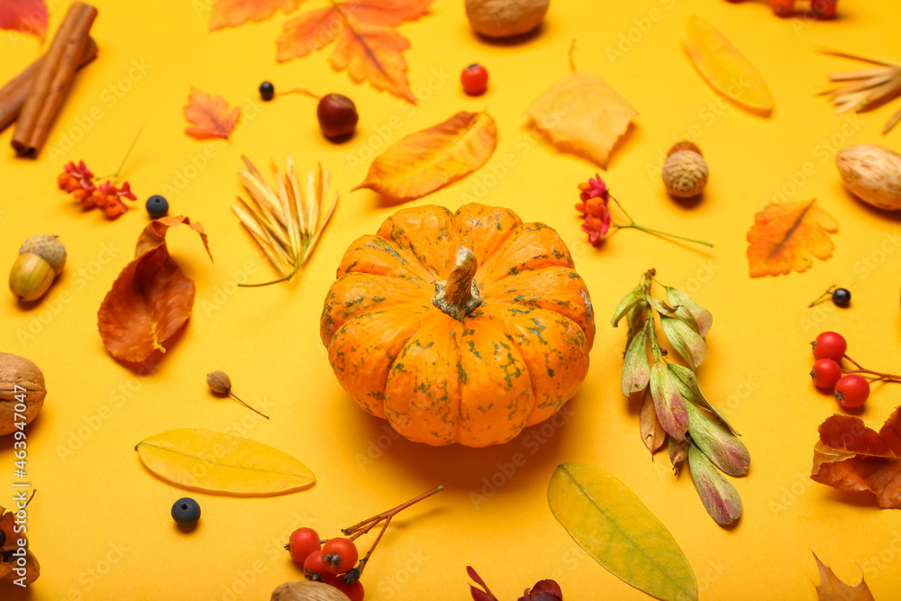 Beautiful autumn composition with pumpkin and fallen leaves on color background, closeup