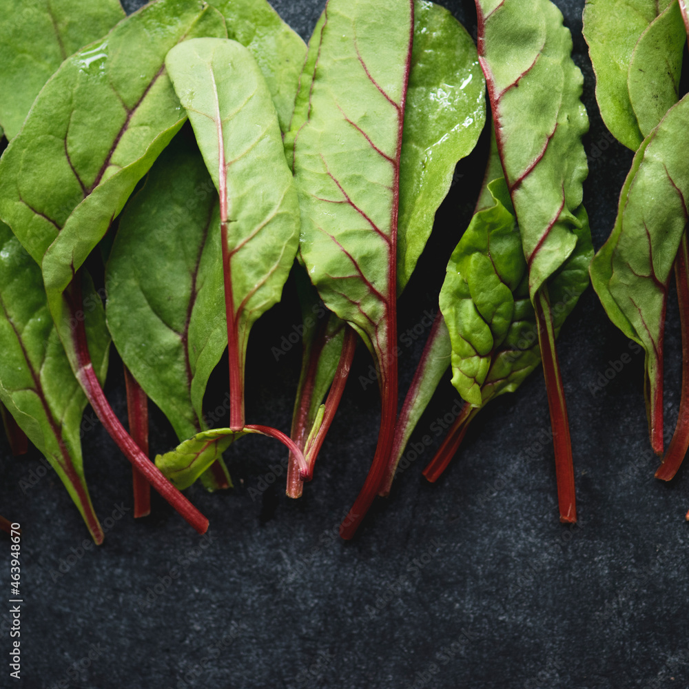 Macro shot of baby beet greens vegetable