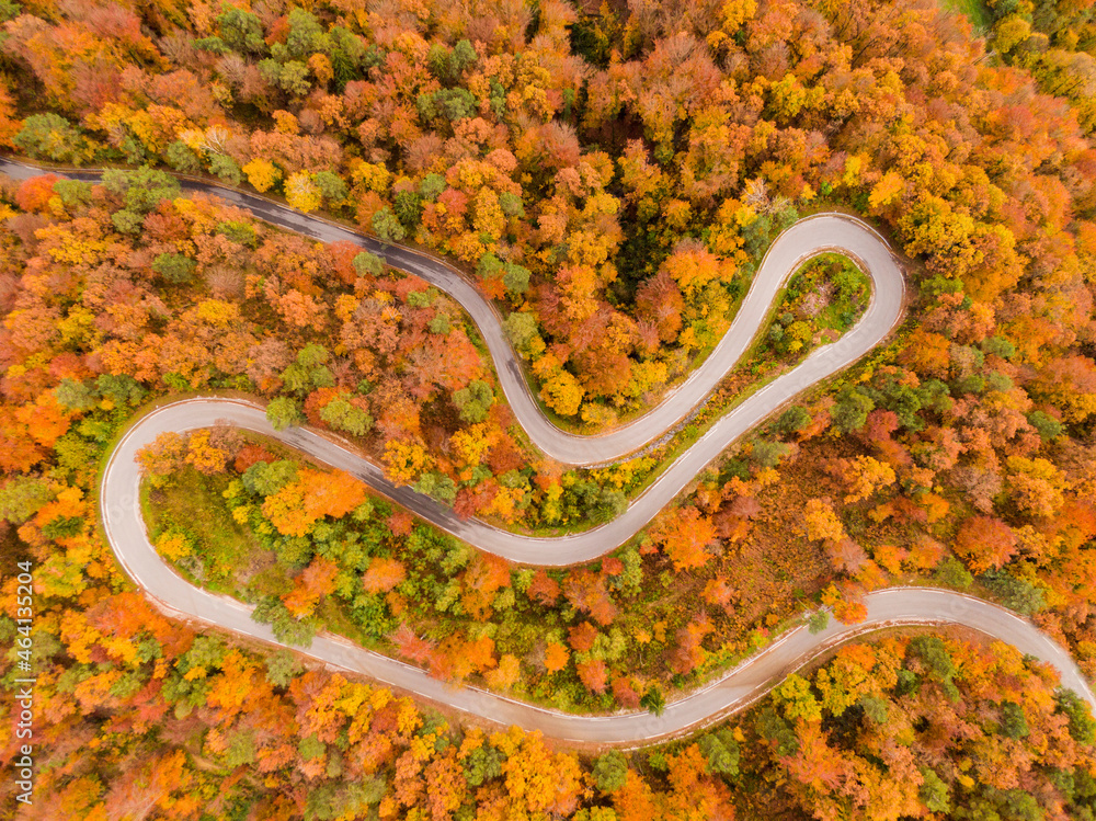 俯视：在阳光明媚的秋天，在风景优美的森林道路的发夹弯上方飞行。