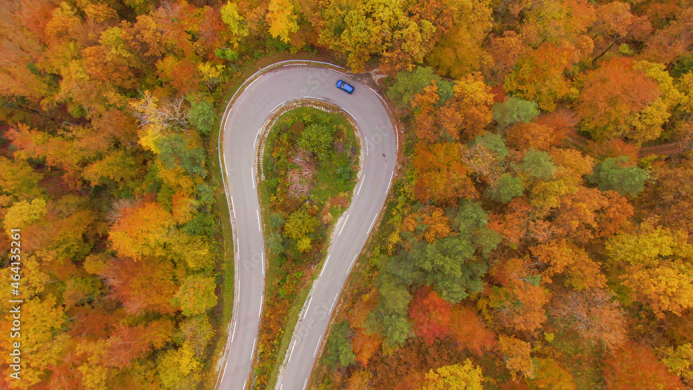 TOP DOWN: Car drives into a hairpin turn of a switchback road crossing a forest.