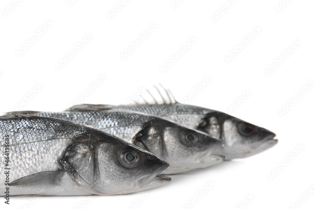 Fresh uncooked sea bass fish on white background, closeup