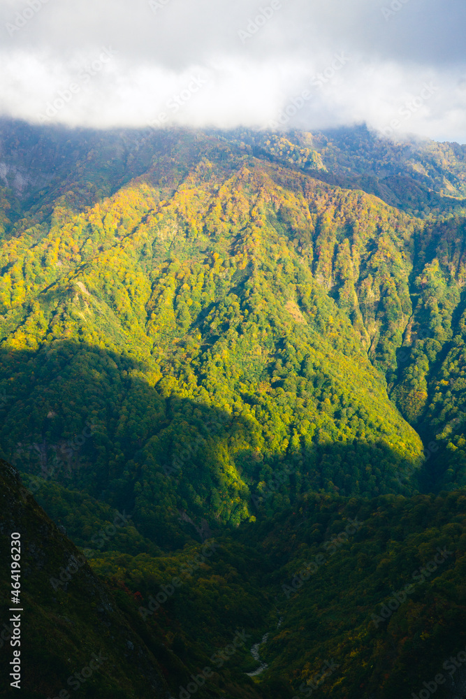 雨飾山からの眺め　紅葉の山