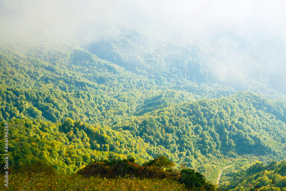 山岳風景　風光明媚　光と霧の森