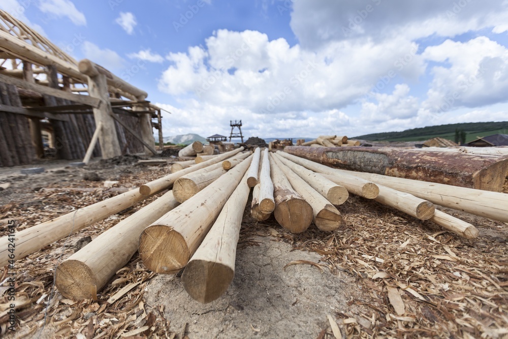 Wooden forest Logs stack, wood texture on outdoor background