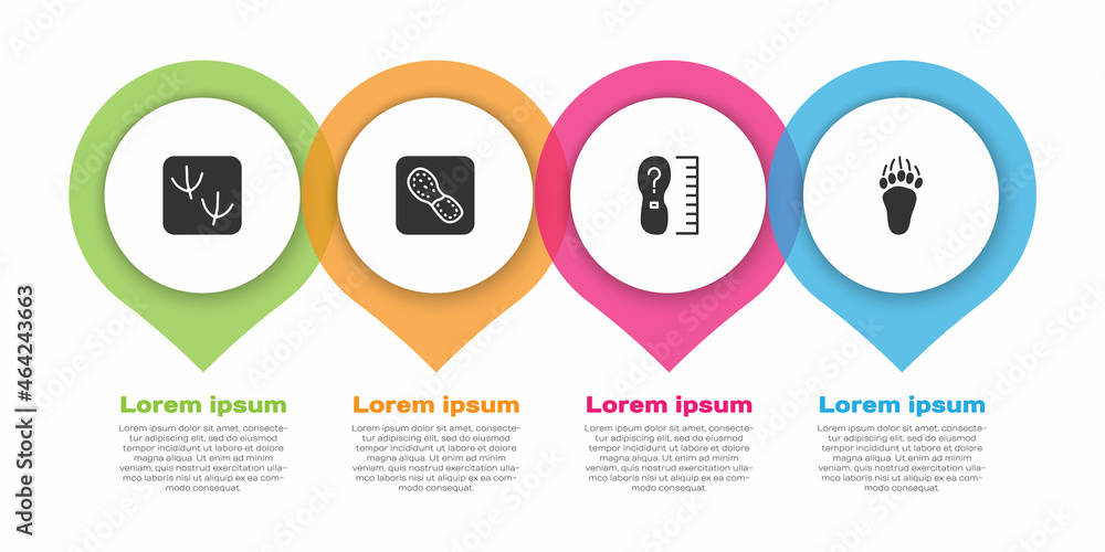 设置鸽子爪足迹，人类足迹鞋，方形尺寸和熊。商业信息图表t