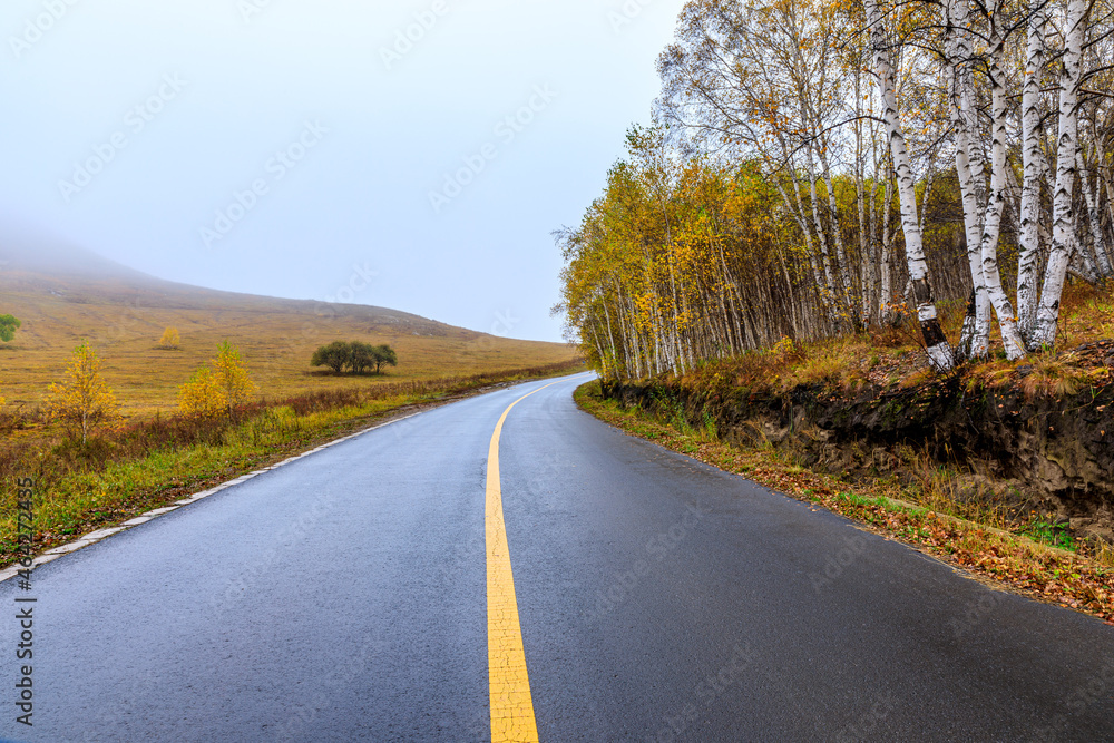 阴天的沥青路和秋天的森林景观。雨后的沥青路与树木景观。