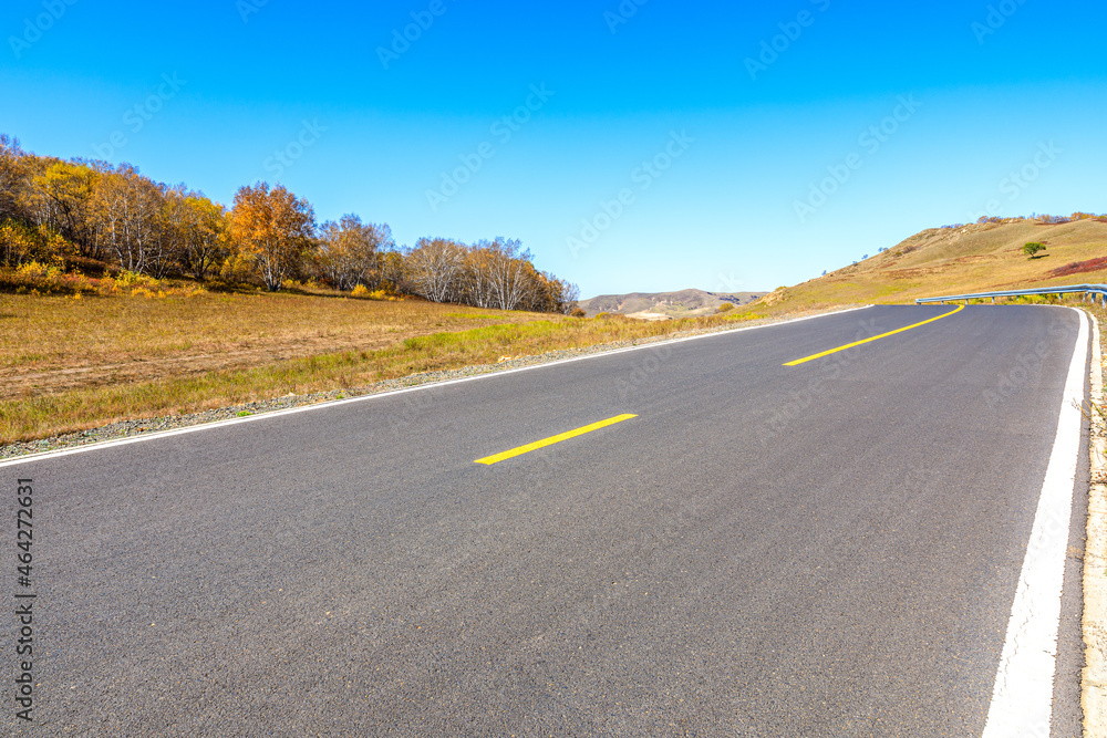 Empty asphalt road and autumn forest landscape.Road and trees background.