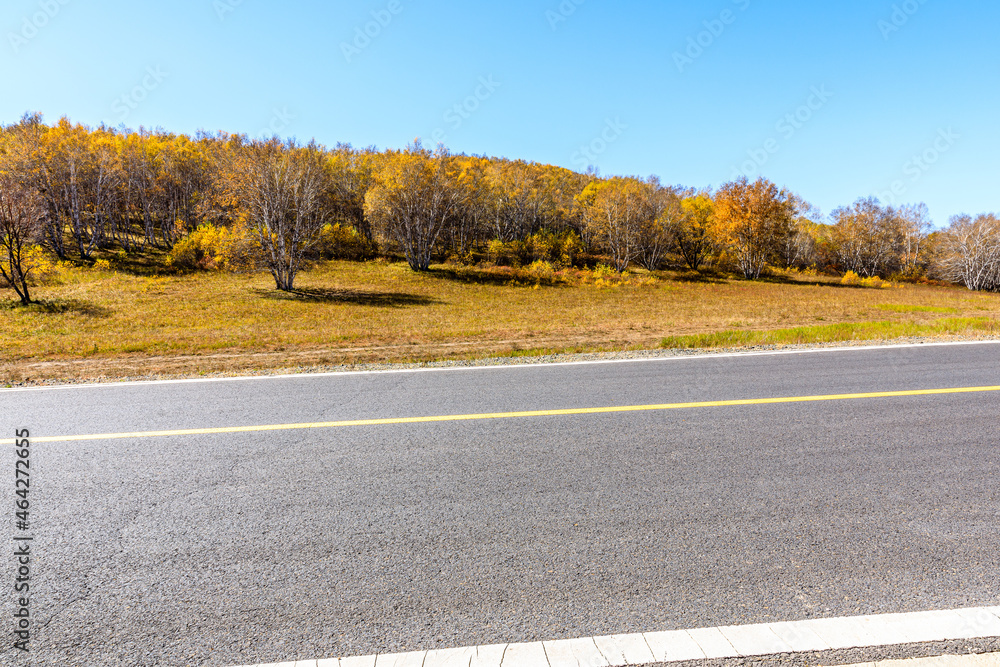 空旷的柏油路和秋天的森林景观。道路和树木背景。