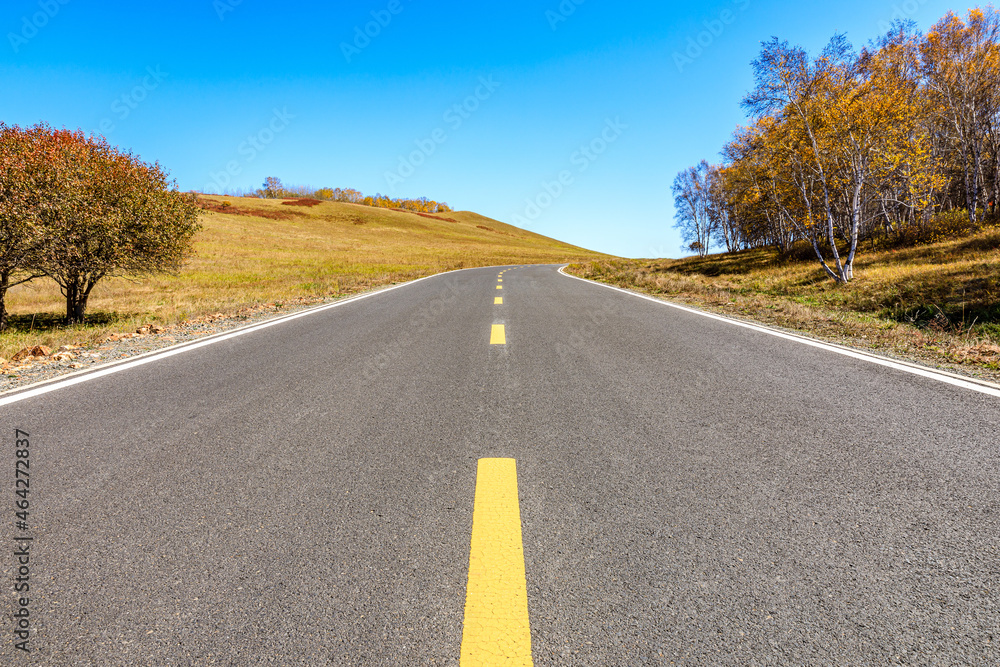 Empty asphalt road and autumn forest landscape.Road and trees background.