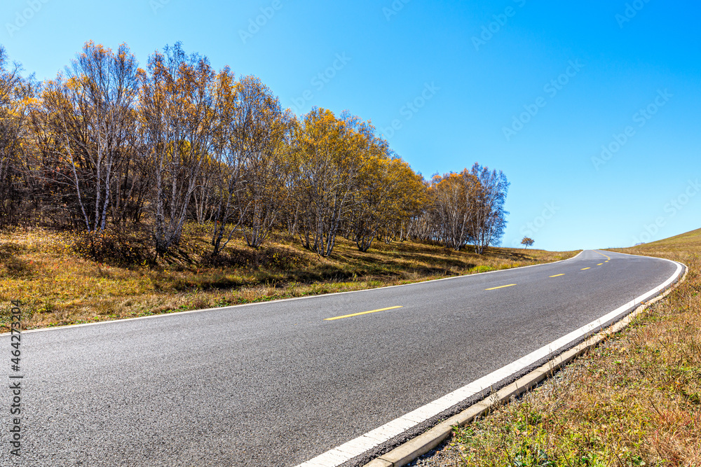 空旷的柏油路和秋天的森林景观。道路和树木背景。