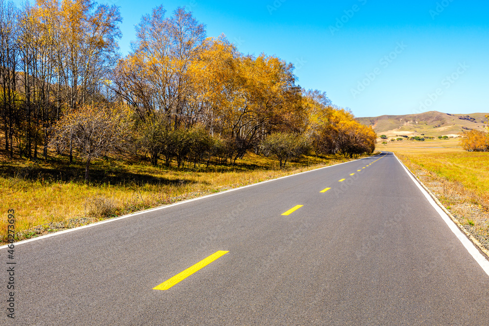 Empty asphalt road and autumn forest landscape.Road and trees background.