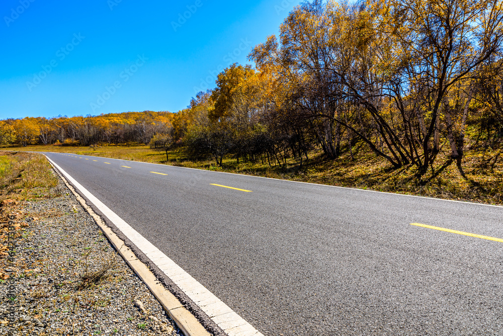 Empty asphalt road and autumn forest landscape.Road and trees background.