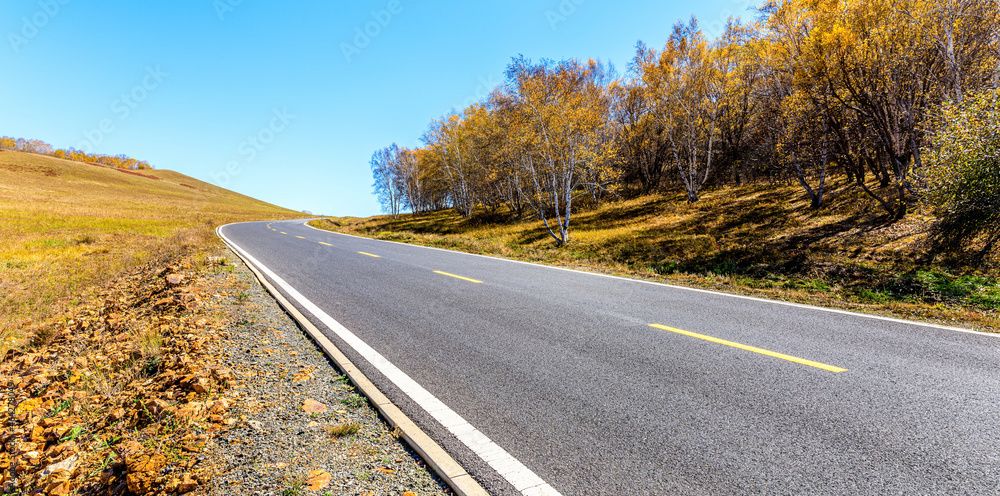 空旷的柏油路和秋天的森林景观。道路和树木背景。