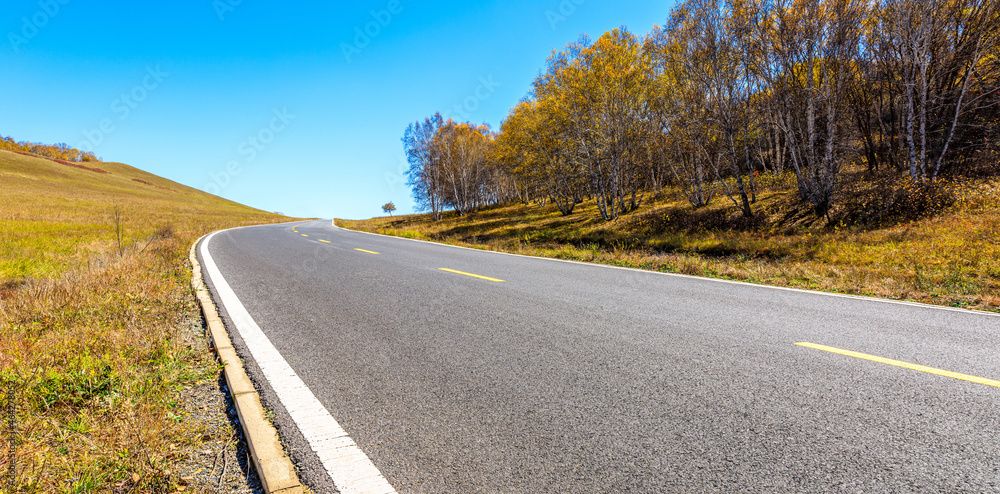 空旷的柏油路和秋天的森林景观。道路和树木背景。