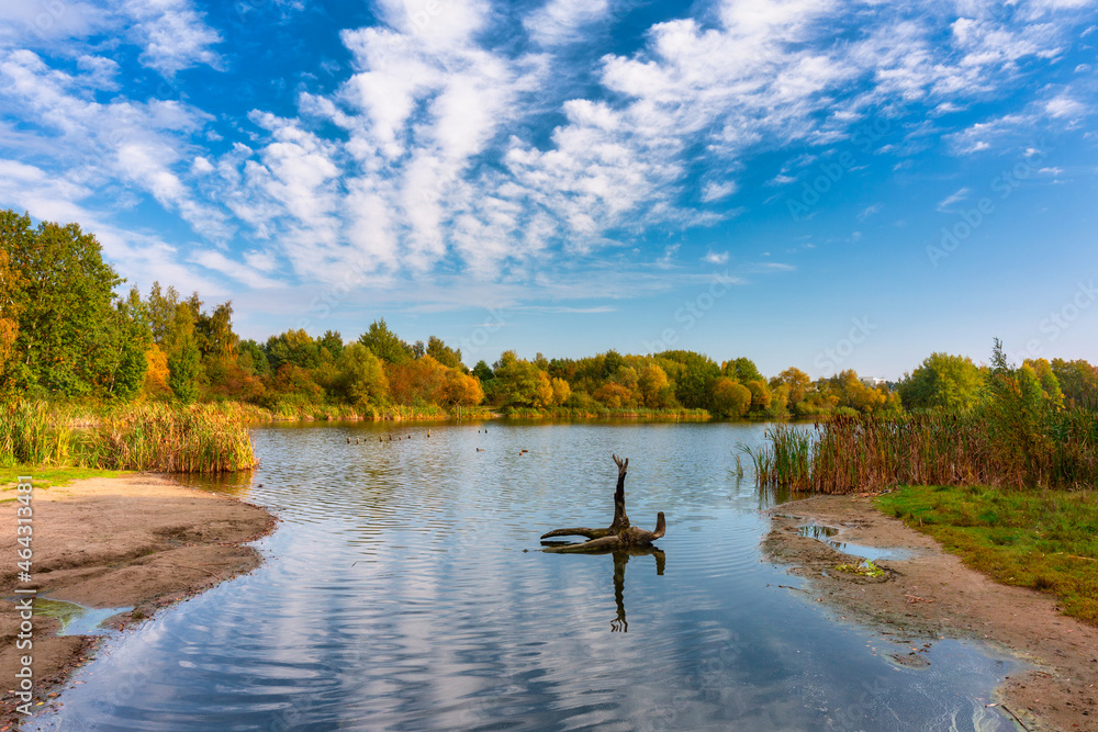 Beautiful pond in Gdansk during autumn, Poland