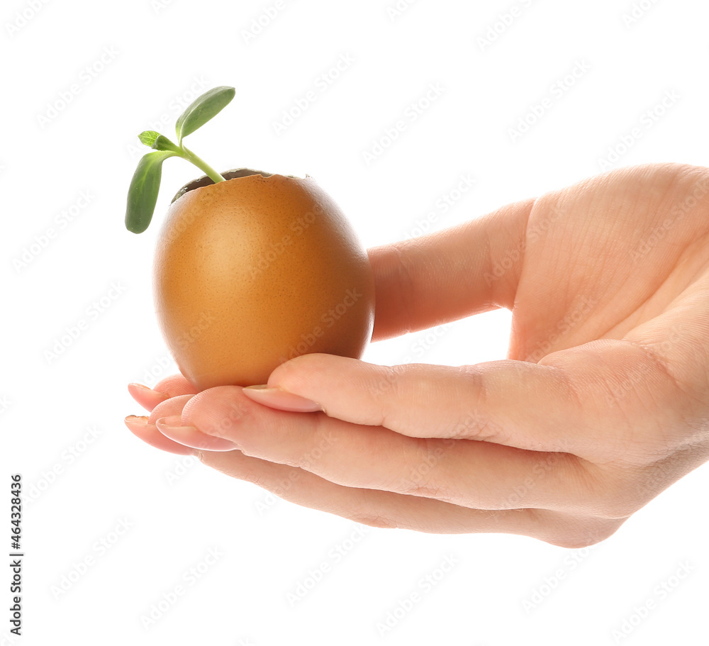 Woman holding green seedling in eggshell on white background