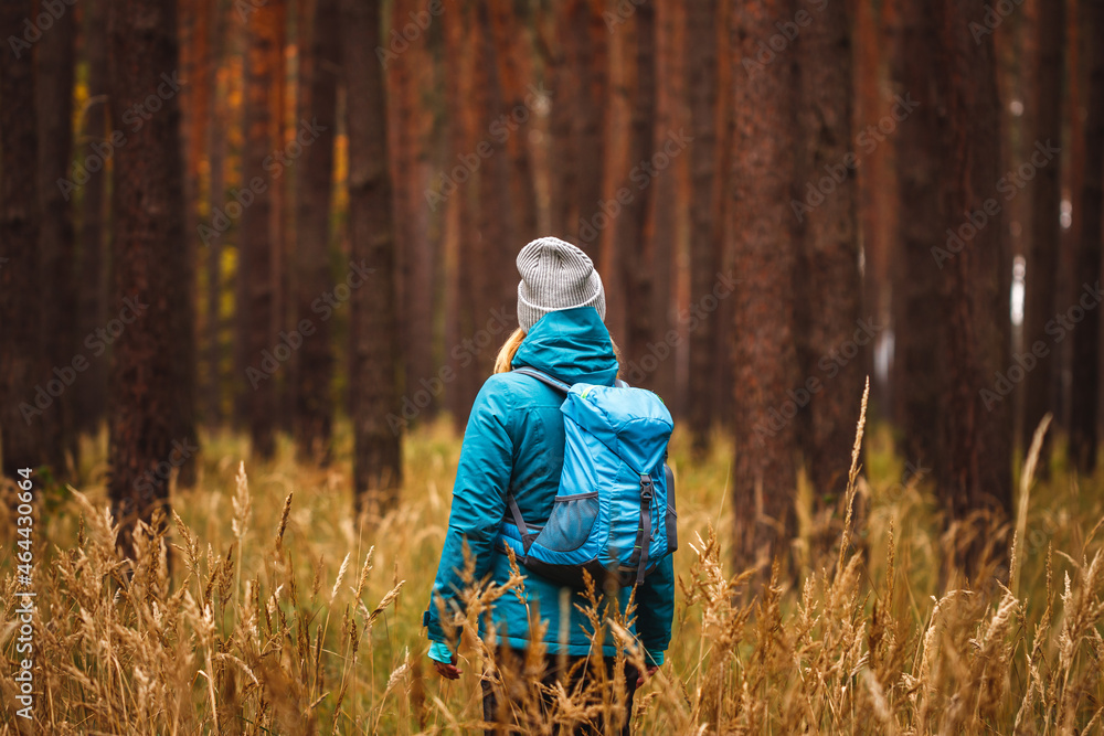 Hiking in pine forest. Woman with sport clothing, backpack and knit hat standing in dry grass and lo