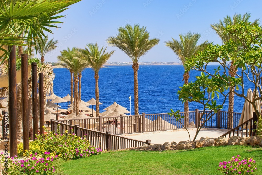 Idylic hotel beach with sun umbrelas, Red Sea, Egypt