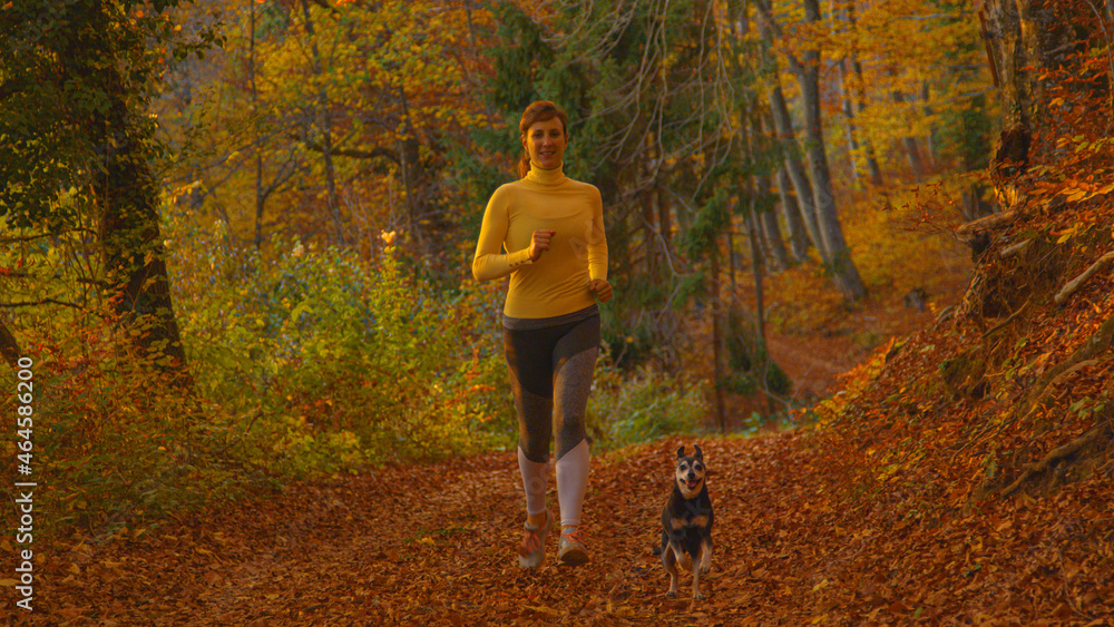 PORTRAIT: Jogger goes for a trail run with her pinscher on sunny fall evening.