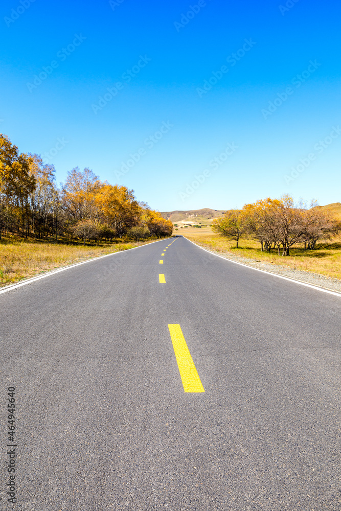 Asphalt road and trees with mountain nature landscape at autumn.