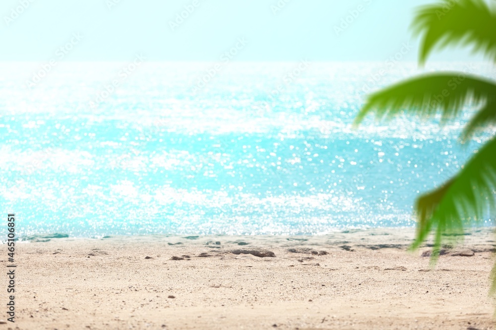 Blur beautiful nature green palm leaf on tropical beach, travel concept.