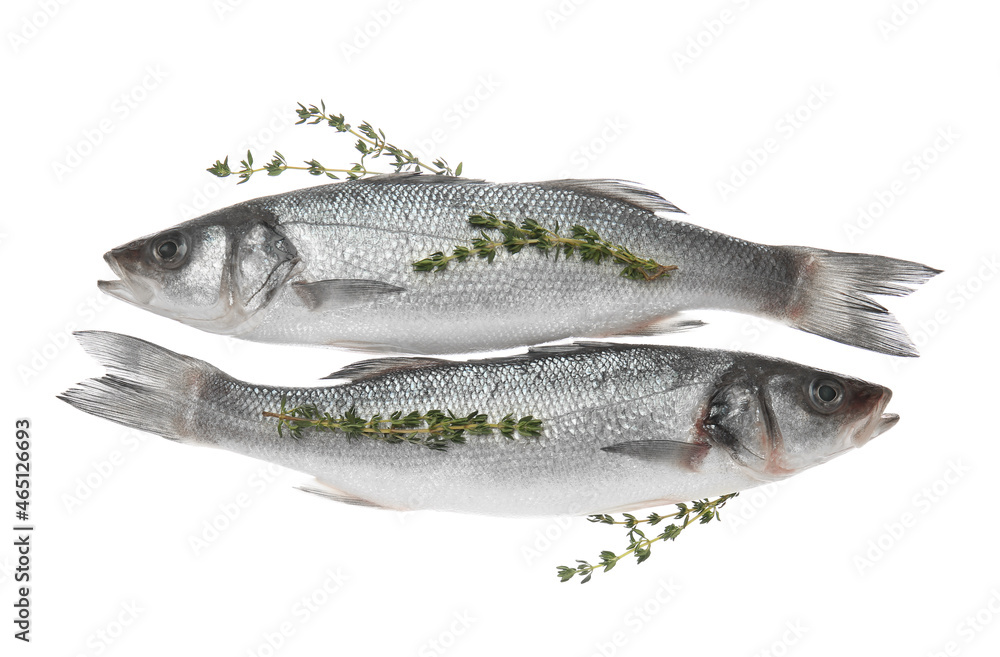 Fresh uncooked sea bass fish on white background