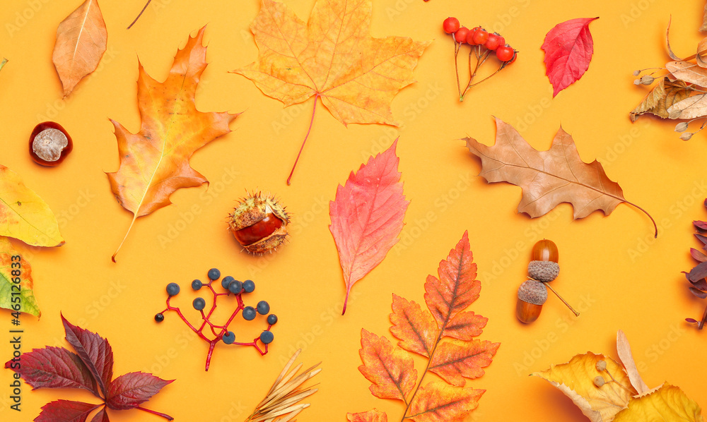 Beautiful autumn forest decor on color background, closeup