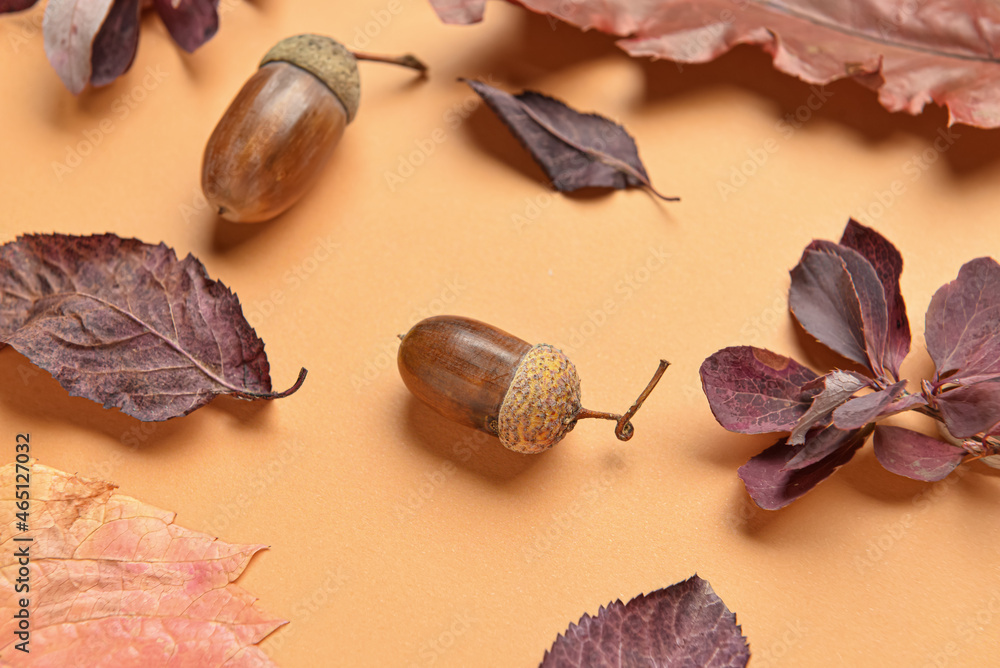 Acorns and beautiful autumn leaves on color background, closeup