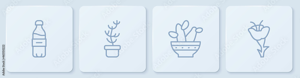 Set line Bottle of water, Cactus peyote in pot, Exotic tropical plant and Flower. White square butto