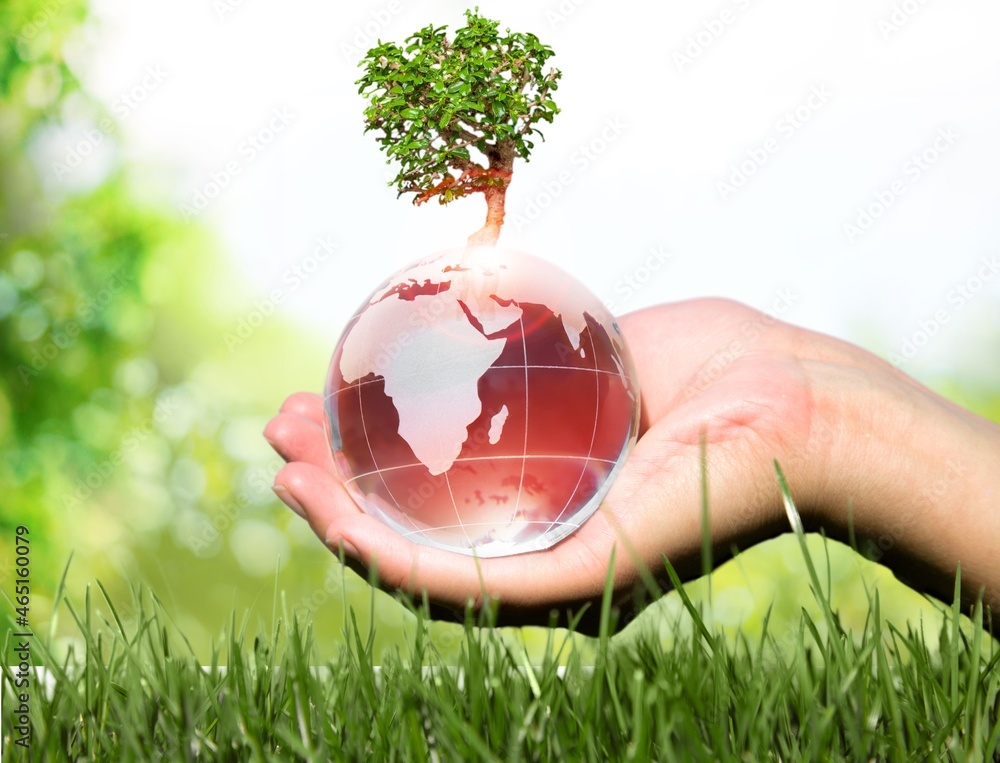 World Earth Day, glass globe ball and tree in human hand