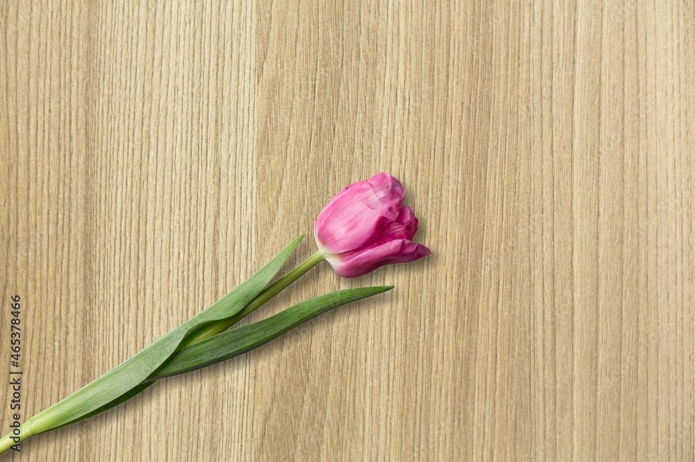 Fresh beautiful colored flower on the desk