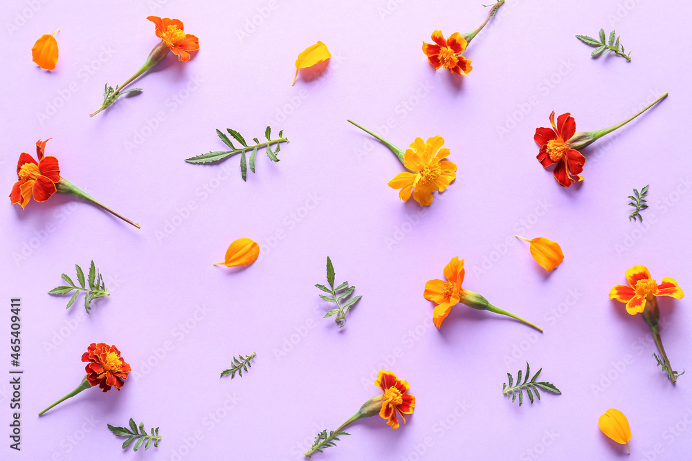 Many marigold flowers on lilac background