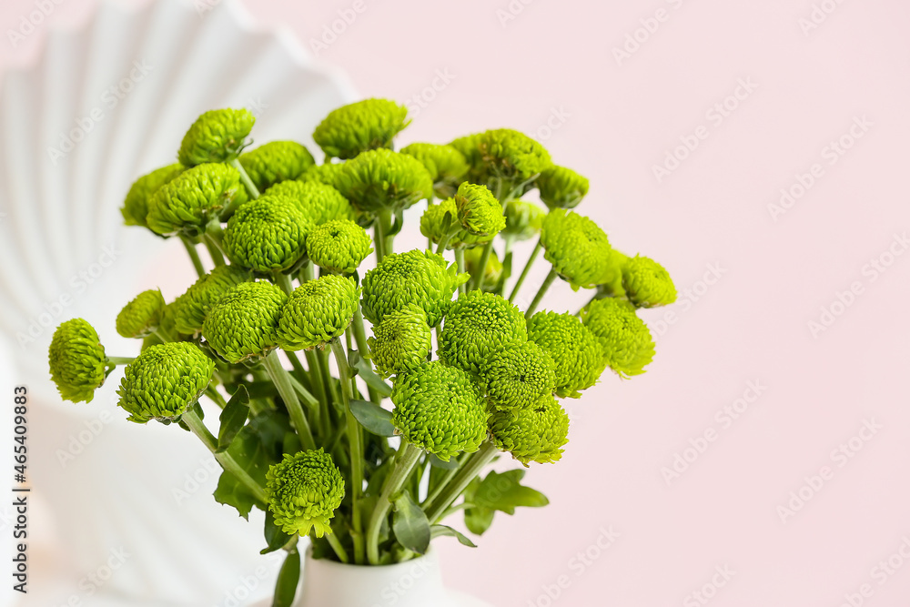 Vase with beautiful green chrysanthemum flowers, closeup