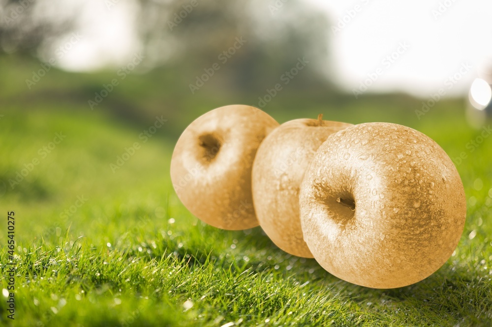 Fresh Snow pear fruit on the grass