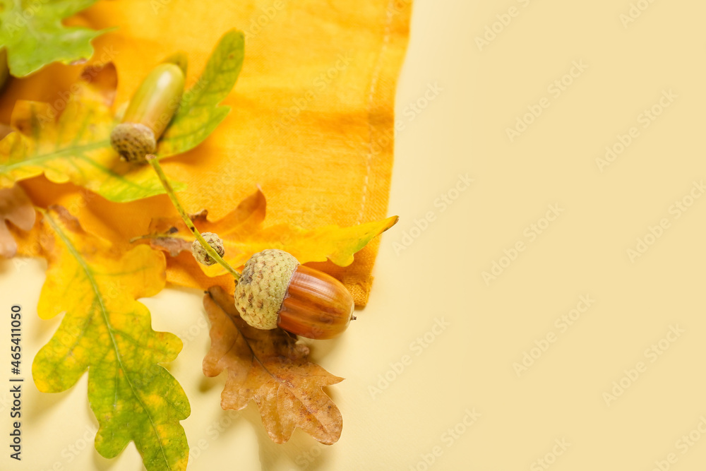 Oak tree branch with leaves and acorns on color background