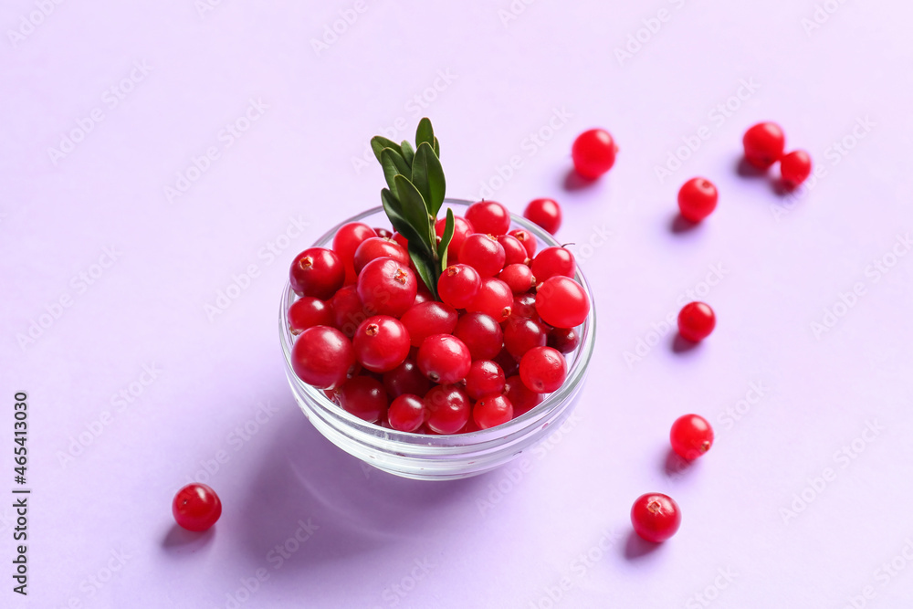 彩色背景上的一碗lingonberry